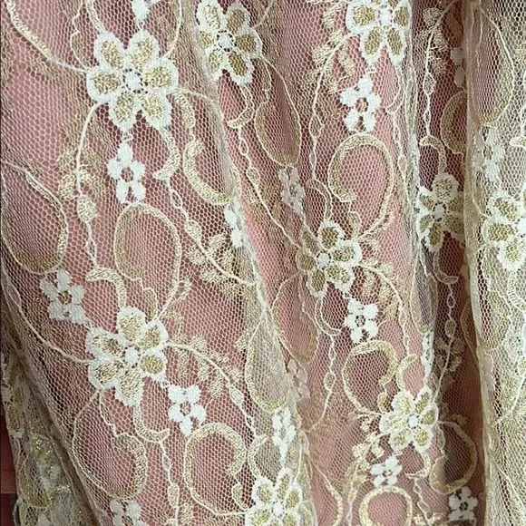 Gorgeous Anarkali Churidar Salwaar Kameez - Picture 9 of 10